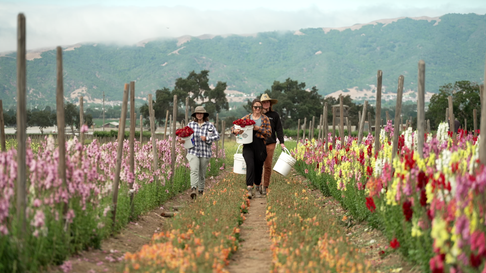 How California Agriculture Can Help The Climate Crisis How California Agriculture Can Help The Climate Crisis